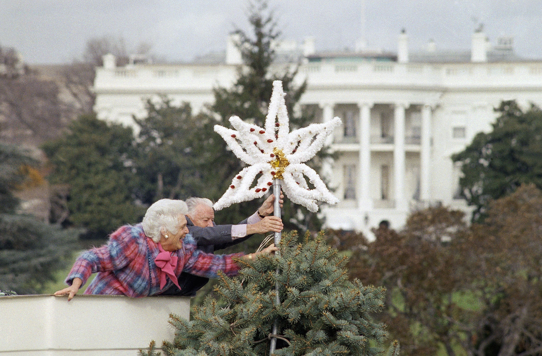 White House Christmas Vignettes